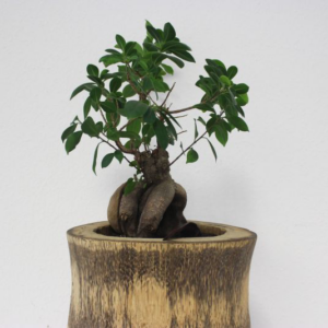 Product Title Here 4