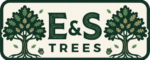 E&S Trees